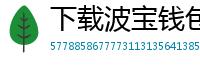 下载波宝钱包